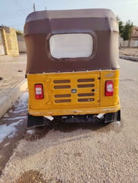 ٢٠٢٠ • مرقمة سنوية • المجر الكبير