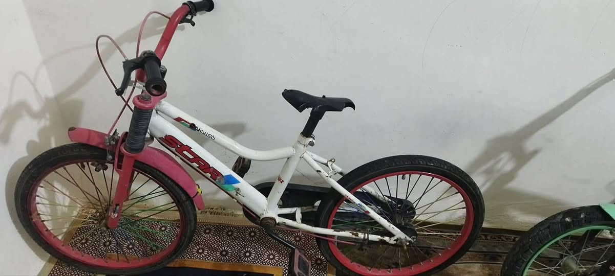 بايسكلات للبيع الابيض ب25و الاخضر 20 عوزهن تعديلات  الاخضر بس تاير لوره سرج العنوان الكوت الزهراء


**إذا كنت صاحب هذا الإعلان وتريد حذفه لأي سبب، رجاءا أرسل رسالة إلى الدعم الفني**