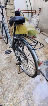 باسكل • حجم 26 • نجف