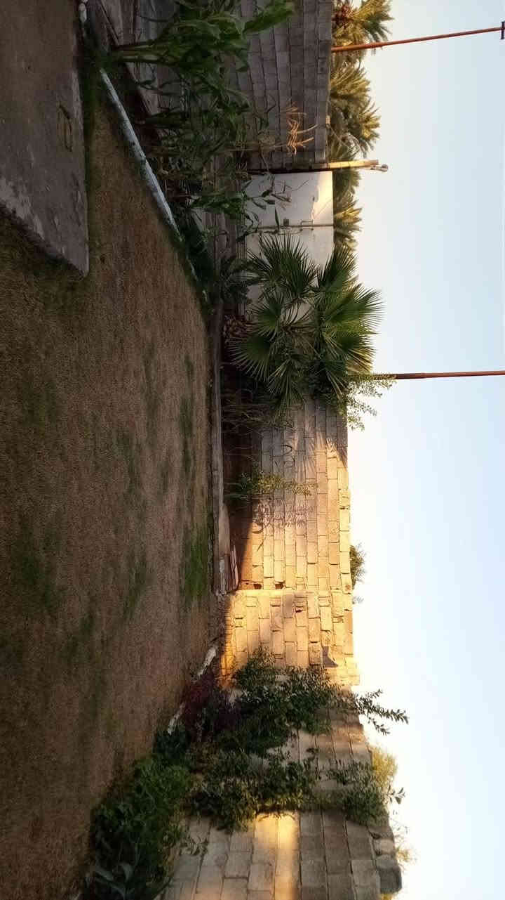 بيت للبيع في منطقة الكويت مجاور جامع عائشة مساحة 320متر لبيت يحتوي على صالة ومطبخ وغرفة وصحيات وحولي كبير عقد 17السعر45وبي مجال هاتف***********
