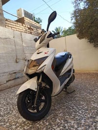 سكنس فحل • كفالة • أوراق كاملة