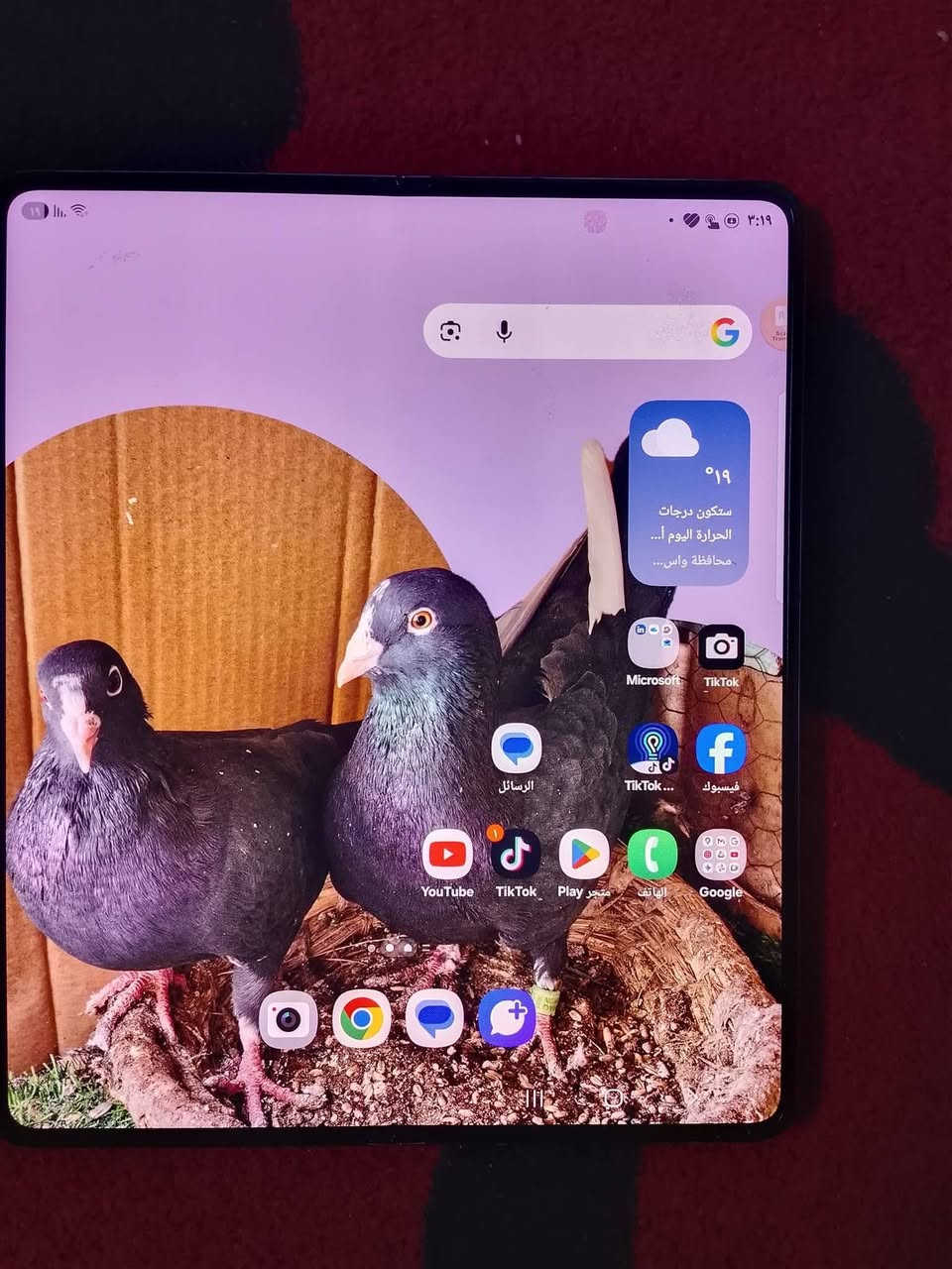 اسم الجهاز galaxy Zfold5 موبايل فول مواصفات  رر
120 فريم والذاكرة 256 سعر٧٧٥


**إذا كنت صاحب هذا الإعلان وتريد حذفه لأي سبب، رجاءا أرسل رسالة إلى الدعم الفني**