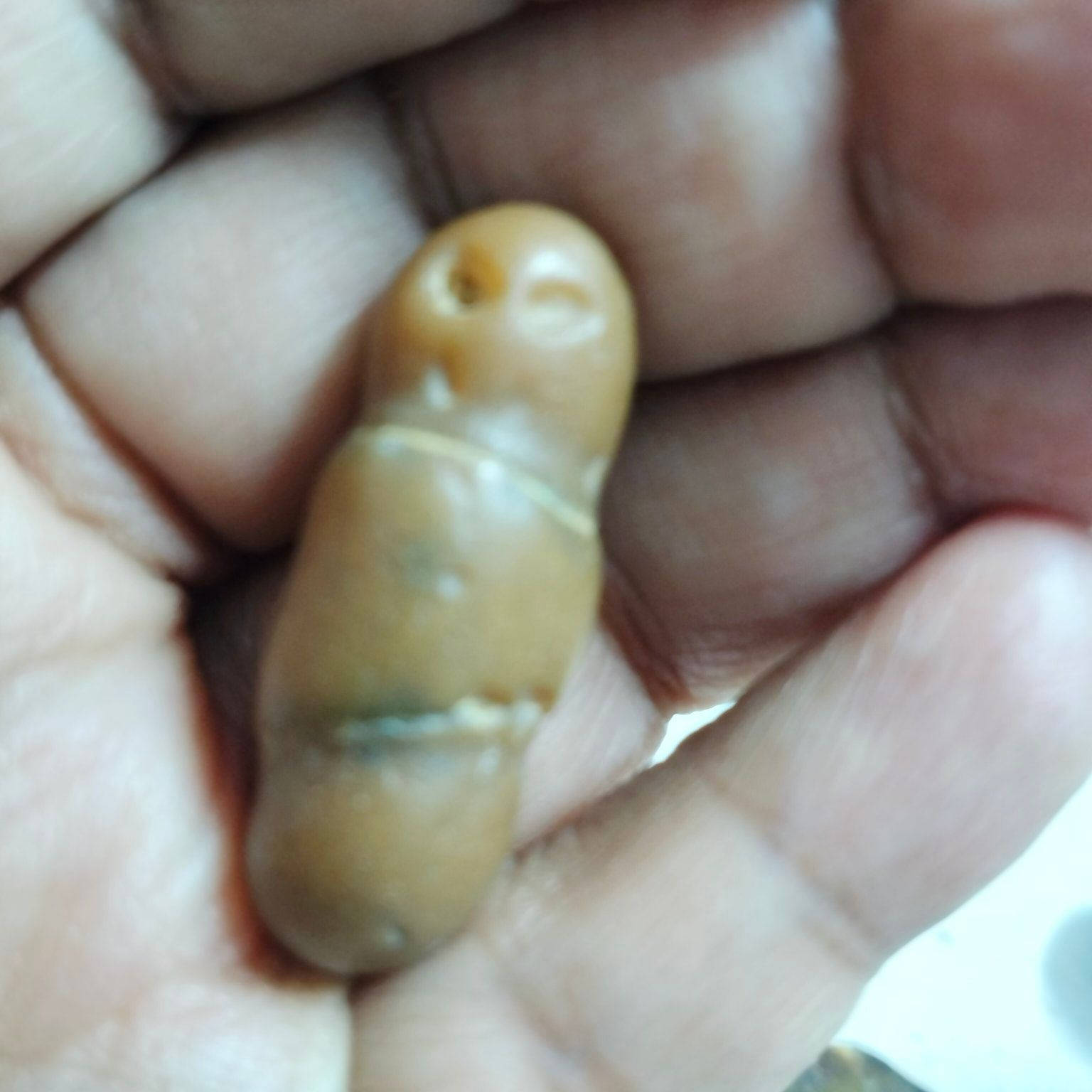 السلام عليكم ورحمه الله وبركاته معي احجار سلطاني نادرة بالمرة رائعه من روائع الطبيعه سبحان الله وبحمده سبحان الله العظيم


**إذا كنت صاحب هذا الإعلان وتريد حذفه لأي سبب، رجاءا أرسل رسالة إلى الدعم الفني**
