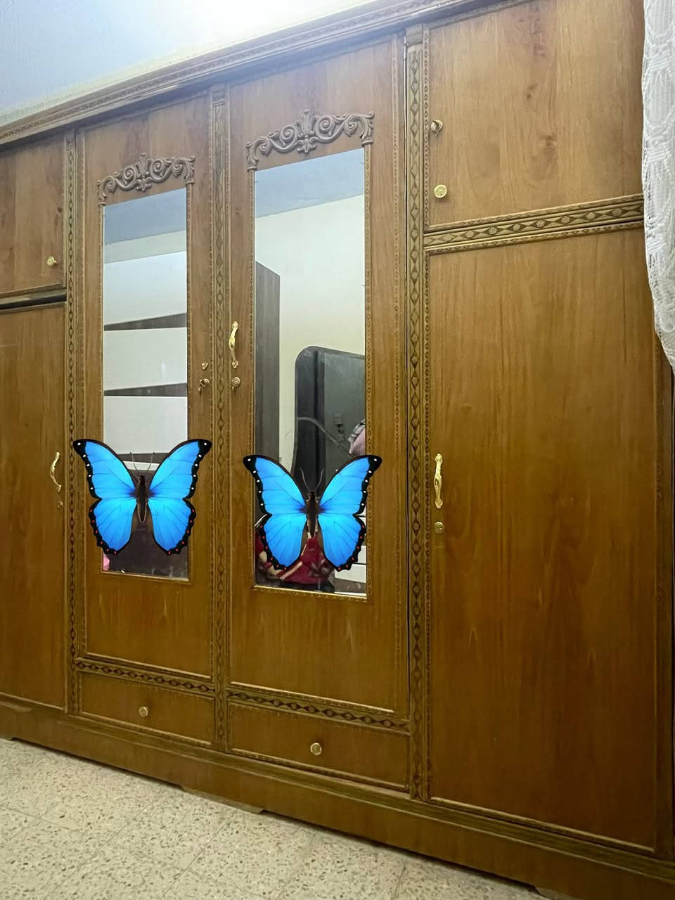للبيع كنتور مع تخم


**إذا كنت صاحب هذا الإعلان وتريد حذفه لأي سبب، رجاءا أرسل رسالة إلى الدعم الفني**