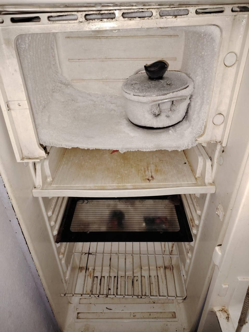 غراض بيت مستعملة شغالة ثلاجات عدد2 ومبرده كنفيرة النجف, العراق


**إذا كنت صاحب هذا الإعلان وتريد حذفه لأي سبب، رجاءا أرسل رسالة إلى الدعم الفني**