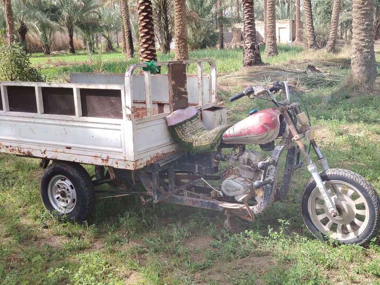 ستوتة ام تي ار كلك كلك للبيع اكسن جمرة مديل 25محرك نضيف لاتبخير ولا تنقيص بدي نضيف ستوتة مال جناي شلعة بيهة خير من الله ال مكان كربلاء طوريج فيادة السعر٧٠٠ وبيهة مجال الشراي الخاص مفتوح
.
.
.
.
ملاحظة المو شراي لي يكسر بحلال العالم


**إذا كنت صاحب هذا الإعلان وتريد حذفه لأي سبب، رجاءا أرسل رسالة إلى الدعم الفني**