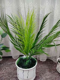 🌿بجمالية راقية ورود صناعيه🌿 جميلة مقاربة للطبيعية🌲 زين بيتك مكتبكم اضف...