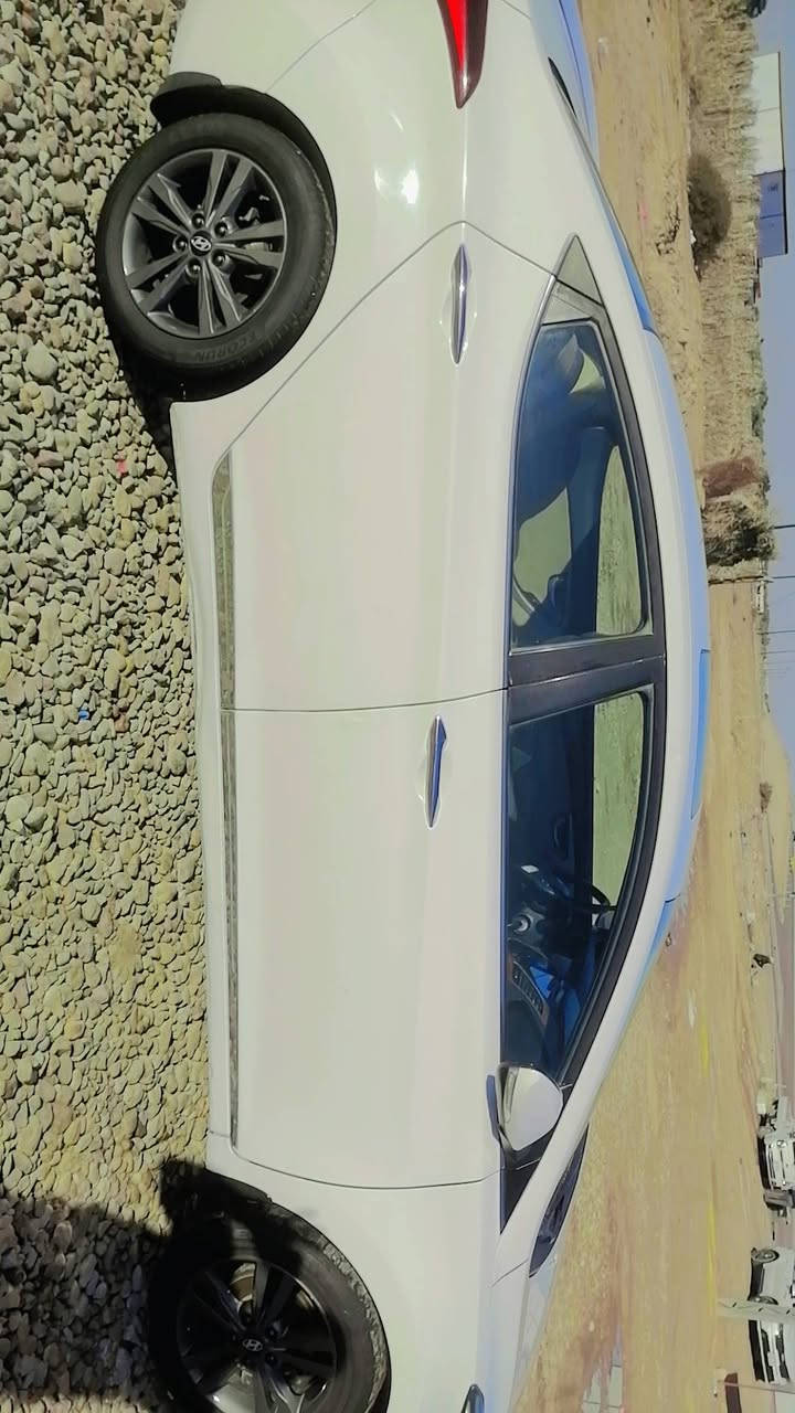 ***********
الانترة 2016 بيع او مراوس بأسمي كفالة فقط شبر صبغ مراوس اوباما
