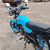 شاينك • موديل 2023 • اوراق اصلية