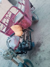 ستوته • شغاله • أوراق أصلية 2016