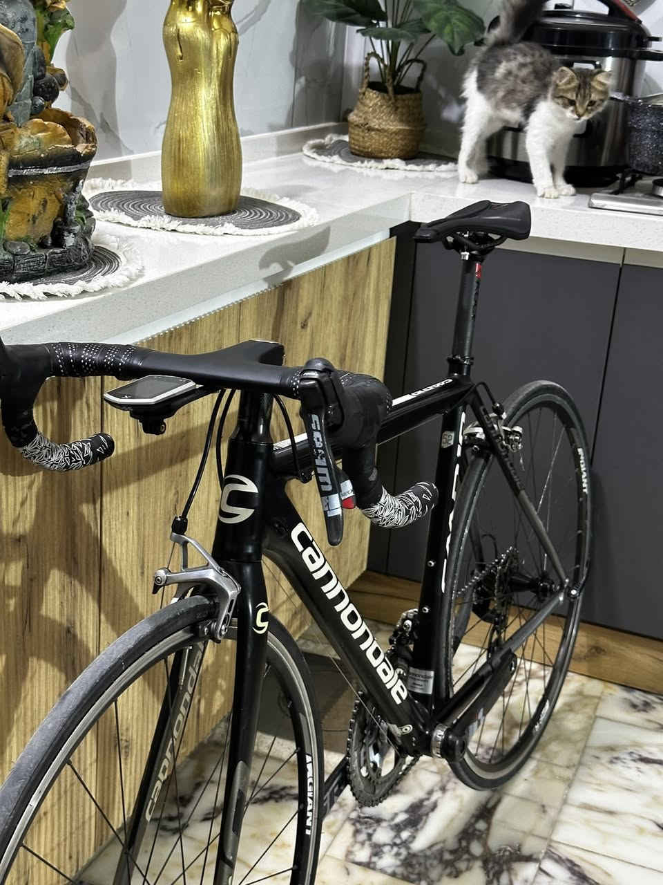 السلام عليكم الغوالي
متاح دراجة كانونديل كاد cannondale caad 10

وزن الدراجة 7.7kgفقط🫣❤️‍🔥
قياس الفريم ميديم ارتفاع 52 طول 54 
سستم الدراجة ليبل واحد من النوادر سرام ريد Sram Red فوول كاربون 2*10
البدالات كاربون 
الصينية كاربون (53/39)سن
العقرب كاربون  
الستيرن كاربون متصل 
بوري السرج Kocevlo كاربون 
السرج كذالك Kocevlo كاربون 
حلقات الركبة كاربون 
قاعدة عداد كاربون 

الويالة جاينت P-R2 حديثات بولبرن 
تايرات (22-23*700)

سعر الدراجة: 765 الف وبيها مجال  
للاستفسار *********** او مراسلة الصفحة 
يتوفر توصيل لجميع المحافظات
