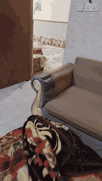 *********** اتصلو عله هذا الرقم  سعر مناسب
