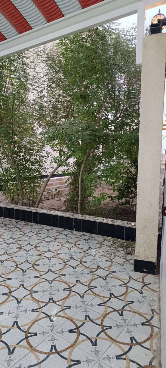 واسعد الله اوقاتكم بكل خير احبتي🫶🏻
***********
يتوفر دار سكن للبيع طابقين ركن ع شارعين🛣

#المساحه لكليه 350 متر مربع 

#نوع العقار طابو زراعي عراقي 

#سند ٢٥ ول مالك عراقي تتكاتب ويا ابوالطابو مباشرتا

#يتكون من غرف نوم عدد 4
#استقبال 
#صاله
#مطبخ 
 #مجمع صحيات داخليه وخارجيه 
#حديقه🌺 وكراج🛣

#البيت كامل من جميع الملحقاته 
بناء جديد 2025

#العنوان البصرة قضاء ابي الخصيب كوت الحمداني
#منطقة روعه جميع الخدمات ماي كهرباء شارع 10 متر 
#السعر  170وبي مجال

للاستفسار لاتصال ***********
