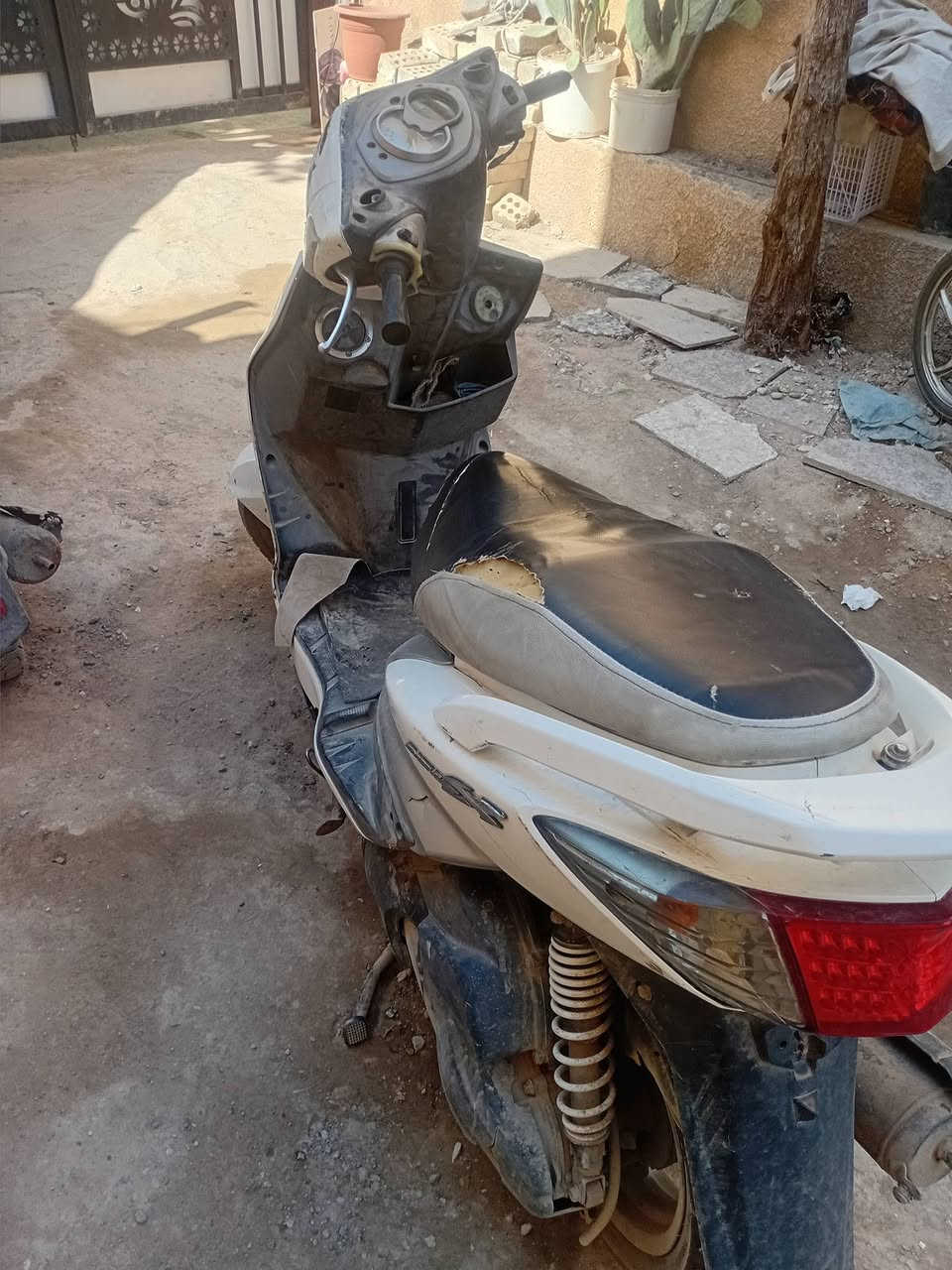 السلام عليكم سكنس فحل للبيع
نكره سلف تجي شغل وتروح السعر ٤٠٠ وبيها مجال 
*********** واتساب
