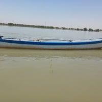 جينكو فايبر • ياماها ١٥ • ابوالخصيب