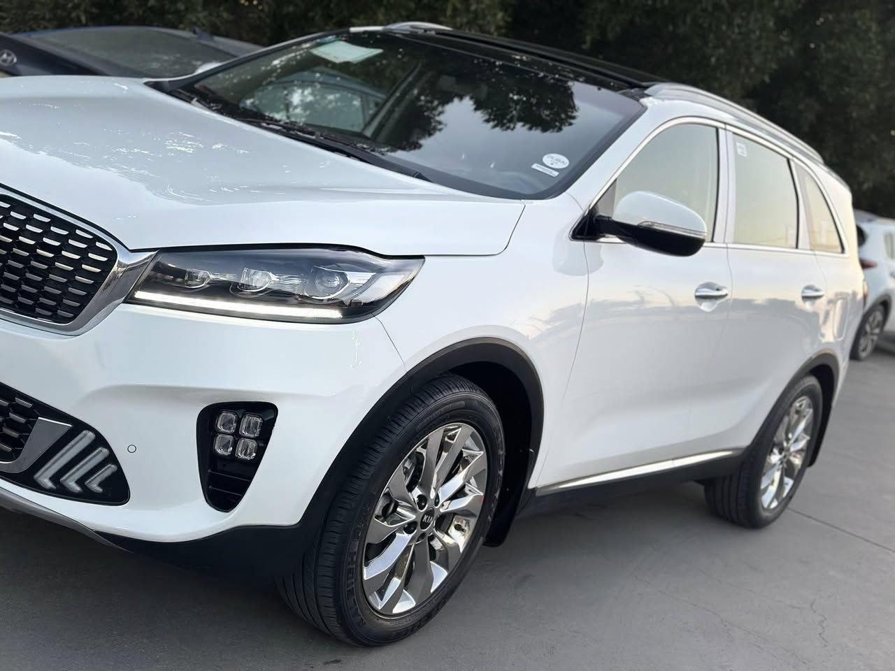 اسعد الله أوقاتكم بل خير والبركه احبتي سورنتو20خليجي بونراما بصمه كراسي كهرباء ٦ سلندر مكفوله من الصبغ والضربه والتبديل رش بل بلاستك الأمامي فقط ورصه بل باب مال سايق مسحوبه السياره جديده جدا ماشيه ٥٩ اللف حقيقي الباقي على وضع الشركه رقم بغداد الجديد ابسمي سنويه وهزه جديده 
مكانها بغداد العامريه سعرها 259 ورقه قفل 
***********
