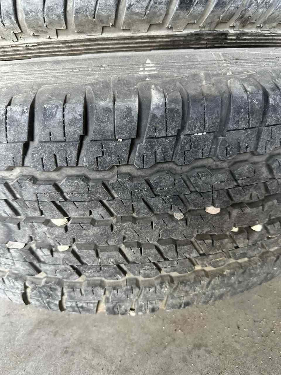 ويل جكسارة حجم 17/65/285 تخم جديد ويه سبير مانزل


**إذا كنت صاحب هذا الإعلان وتريد حذفه لأي سبب، رجاءا أرسل رسالة إلى الدعم الفني**