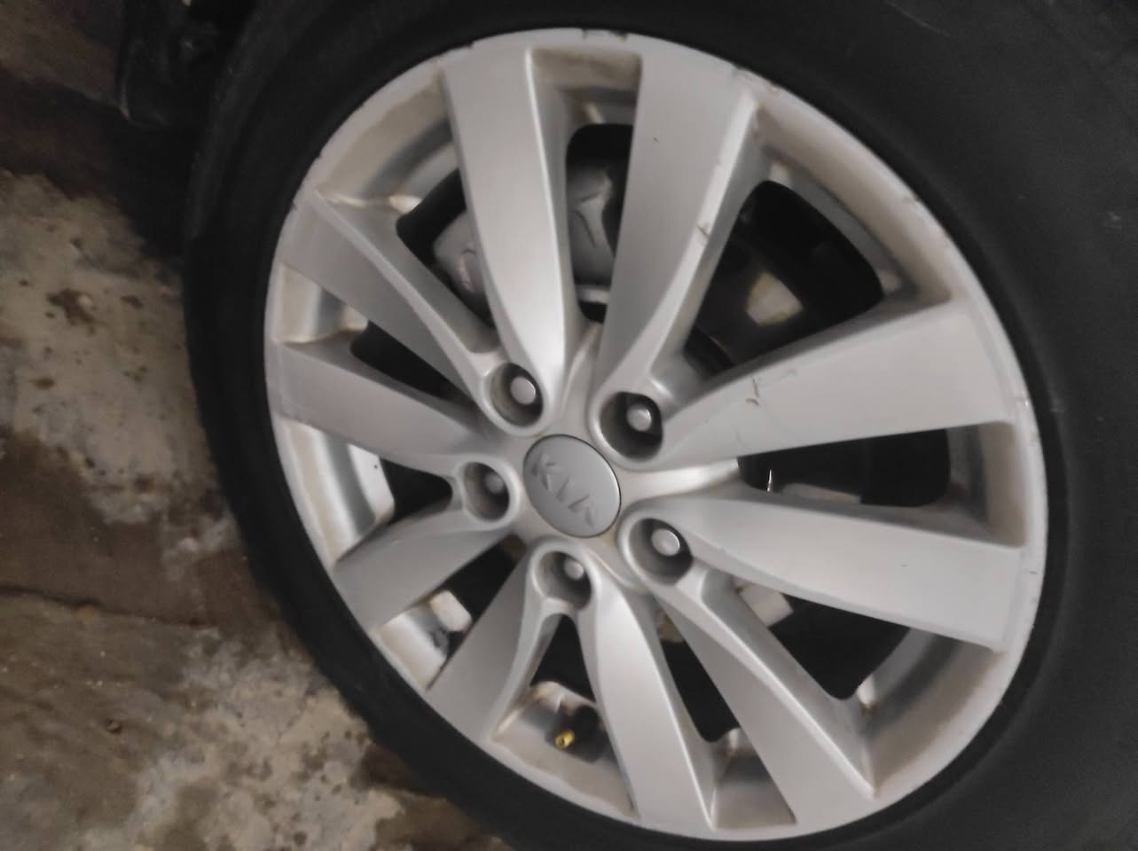 سلام عليكم عندي هذا ويل سيراتو حجم 16 أريد اراوسهن بحجم 17 ***********
