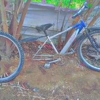 بايسكل • خلفي • ابو غريب