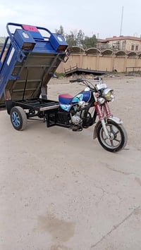 ستوته • الديوانيه