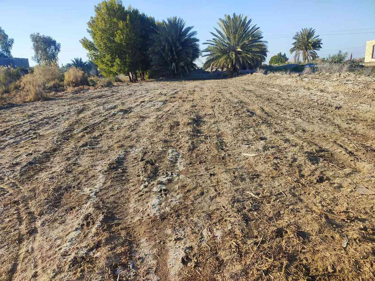 السعر مناسب 🟥🟥🟥قطعه ارض عقد زراعي موقعه بين الملاحه والسدير يم معمل ماء السدير وره غسل اربيع  العرض 12 ونص متر والنزال 110 واكثر  تقع عله شارع السياحي بعد عن تبليط 100متر على راسه نازل شارع سبيس فول خدمات  ماي اساله +كهرباء، كامله مواصفات  لتواصل او الاستفسار خاص او الاتصال عله رقم ***********
