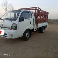 موديل ١٦ • انكليزي • كفاله عامه