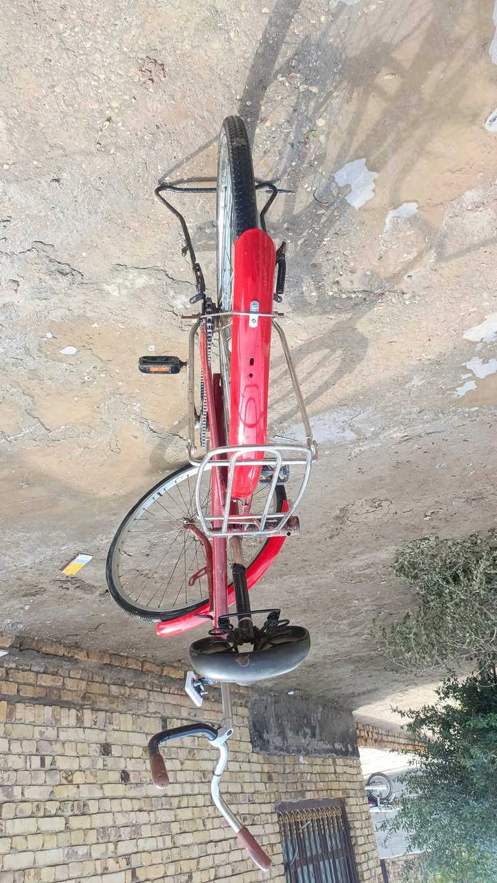 شباب باسكل للبيع في الديوانيه  الخمسه دونم السعر 45الف وابي مجال تجاري الحجم 26  ورقم الهاتف***********
