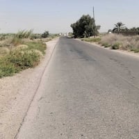 مزرعة مساحتها دونم و(٣٠٠م) مسيجة بي ار سي وبيها غرفتين وخدماتهن وكهربا...