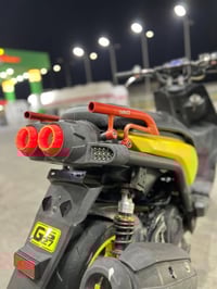 سكنس جبلي • كفالة عامة • الشعب