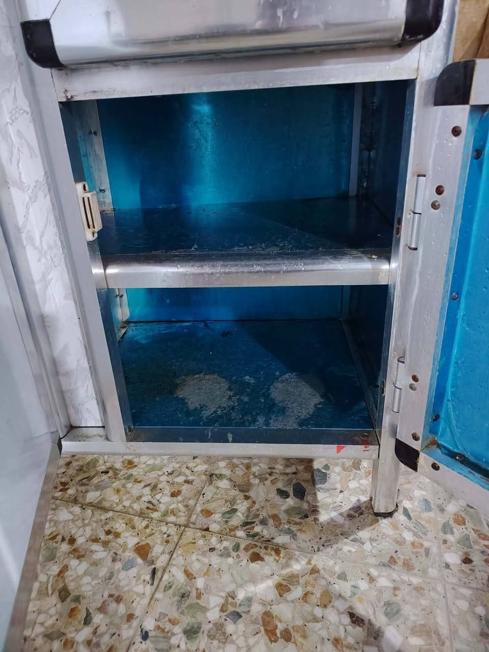 السلام عليكم سنك للبيع تسكام مابي اي ضرر نضيف جدا طوله متر ونص سعره ب٩٠ وبي مجال  للشراي بيع مستعجل مكان نجف....


**إذا كنت صاحب هذا الإعلان وتريد حذفه لأي سبب، رجاءا أرسل رسالة إلى الدعم الفني**