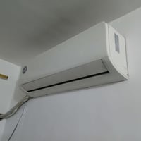 سبلت • مستخدم قليل • الغزالية