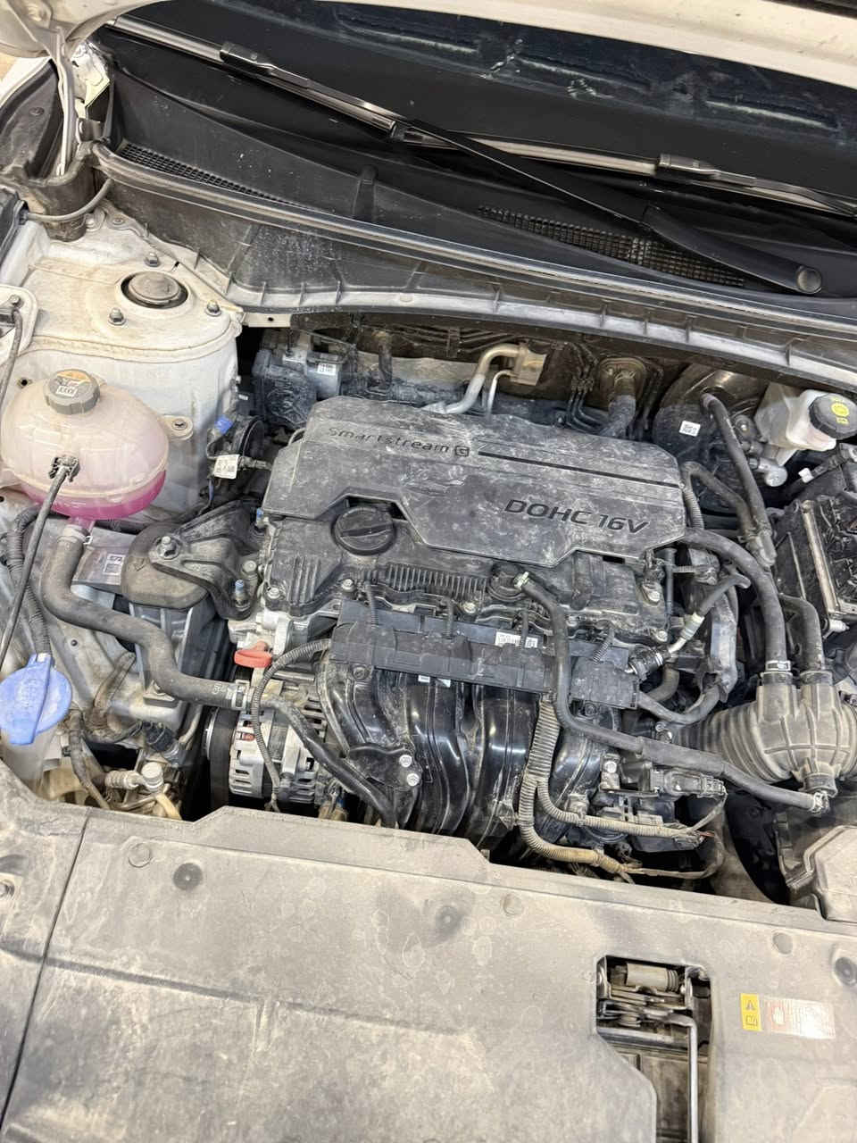 السلام عليكم

توكسان مديل 2024

مكفوله  من الضرر

بيه ملاحظات مبينه في الصور

ماشيه 30 الف كيلو

موتصفات استندر كشن كهرباء عدد ثنين

كلشي في حالة الوكه

السعر 208  ورقه

مكاني نجف  

رقم اربيل اسم شركه  

متواجد  على الخاص 

ملاحظة/ توجد ضربات في القماره اثر نقل وليس حالوب


**إذا كنت صاحب هذا الإعلان وتريد حذفه لأي سبب، رجاءا أرسل رسالة إلى الدعم الفني**