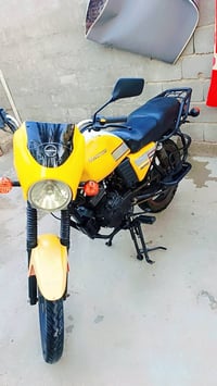 دايوان 2020 اللبيع  07726253408