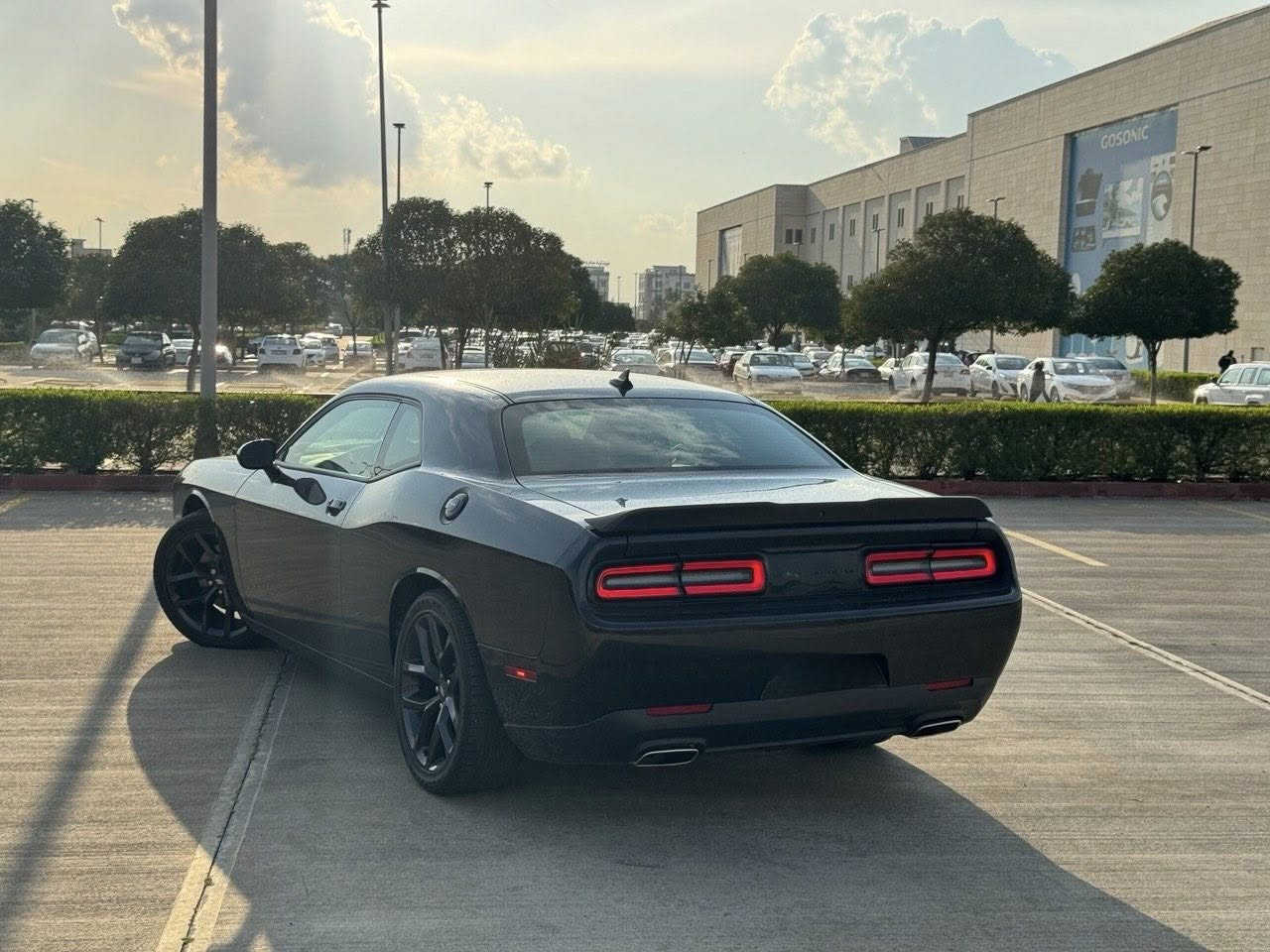 جالنجر GT 2021 كلين
2021 track pack black edition

مواصفات سوبر تراك شاشة كبيرة

دبلات وبريكات تخم كامل RT بلادي

سماعات ALPINE كشنات حضن

ماشية  27ميل

السيارة على وضع الشركة برغي ما مفتوح بيها

سيارة مكفولة من الدعامية للدعامية بدون حادث بدون تبديل بدون صبغ بدون بارد 

السعر 256

للأستفسار ***********
