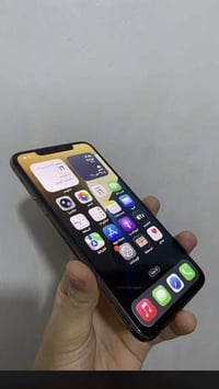 اكس اس ماكس • ٢٥٦ • فيس ايدى