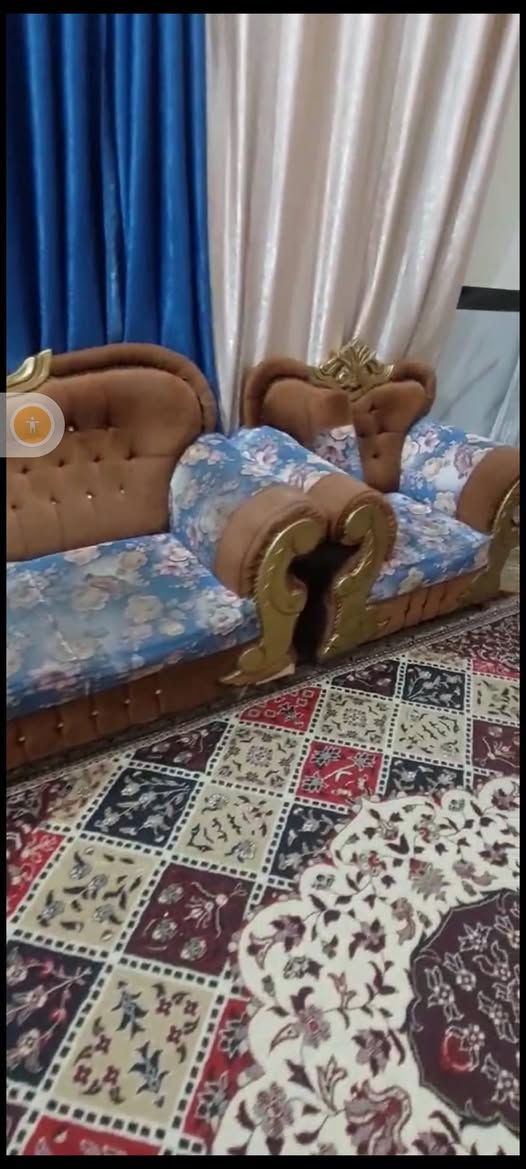 تخم 5 قطع مثل ماواضح بالمقطع مابي اي كسر السعر 170
 العنوان الشيشان الولى قرب العلوه الشراي يراسلني خاص


**إذا كنت صاحب هذا الإعلان وتريد حذفه لأي سبب، رجاءا أرسل رسالة إلى الدعم الفني**