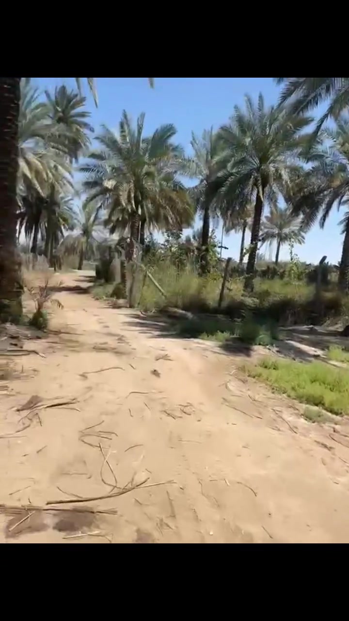 القيسي للاستثمار العقاري 
___________________
⚜ تفاصيل العرض ⚜         
نوع العقار : فرصة مميزة لامتلاك قطعة أرض سكنية بموقع ممتاز  
نوع السند:  طابو زراعي سند 25
المساحة  : 450 متر 
الموقع : بابل _ قرية السادة 

⚜ مميزات العقار ⚜  
 _ تبعد فقط 30 متر عن الشارع الحولي  
 _ موقع هادئ ومناسب جداً للسكن أو للأستثمار
 _ قريبة من الخدمات الرئيسية وسهلة الوصول
 _ فرصة ممتازة لبناء منزل عائلي أو مشروع مستقبلي مربح       

⚜  العقار مناسب للسكن، أو الاستثمار الزراعي، أو كمشروع استراحة عائلية. ⚜

________________________________
للاستفسار مراجعة مكتب ( القيسي للاستثمار العقاري )
الكائن في بابل _ السياحي _ قرية العتايج
*********** حيدر القيسي 
*********** عباس القيسي 

نوفر أفضل الفرص العقارية بمواقع مميزة وأسعار مدروسة 
ثقة .. مصداقية .. التزام 

المروجة : تبارك الحسيني
