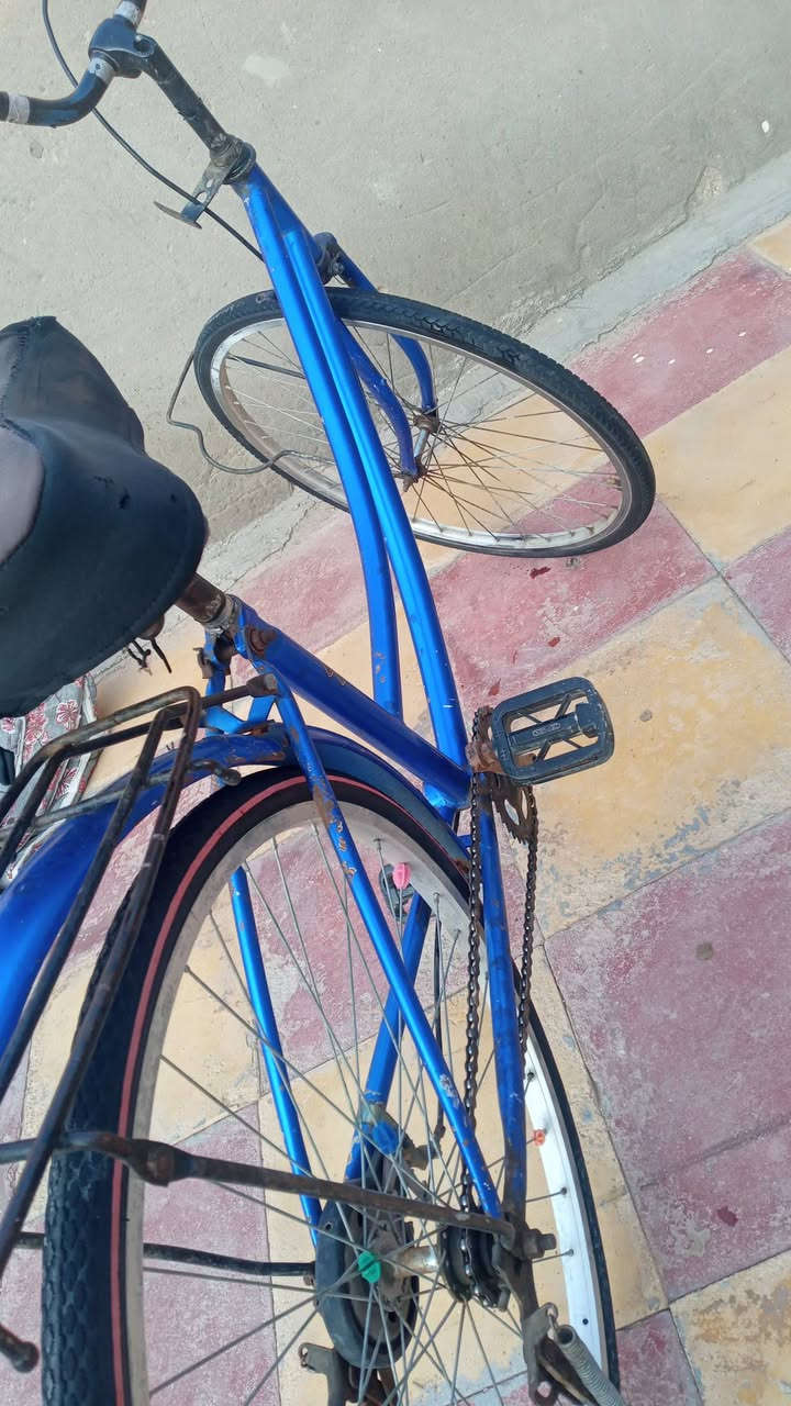 السلام عليكم بايسكل للبيع مكاني السماوه  السعر 50


**إذا كنت صاحب هذا الإعلان وتريد حذفه لأي سبب، رجاءا أرسل رسالة إلى الدعم الفني**