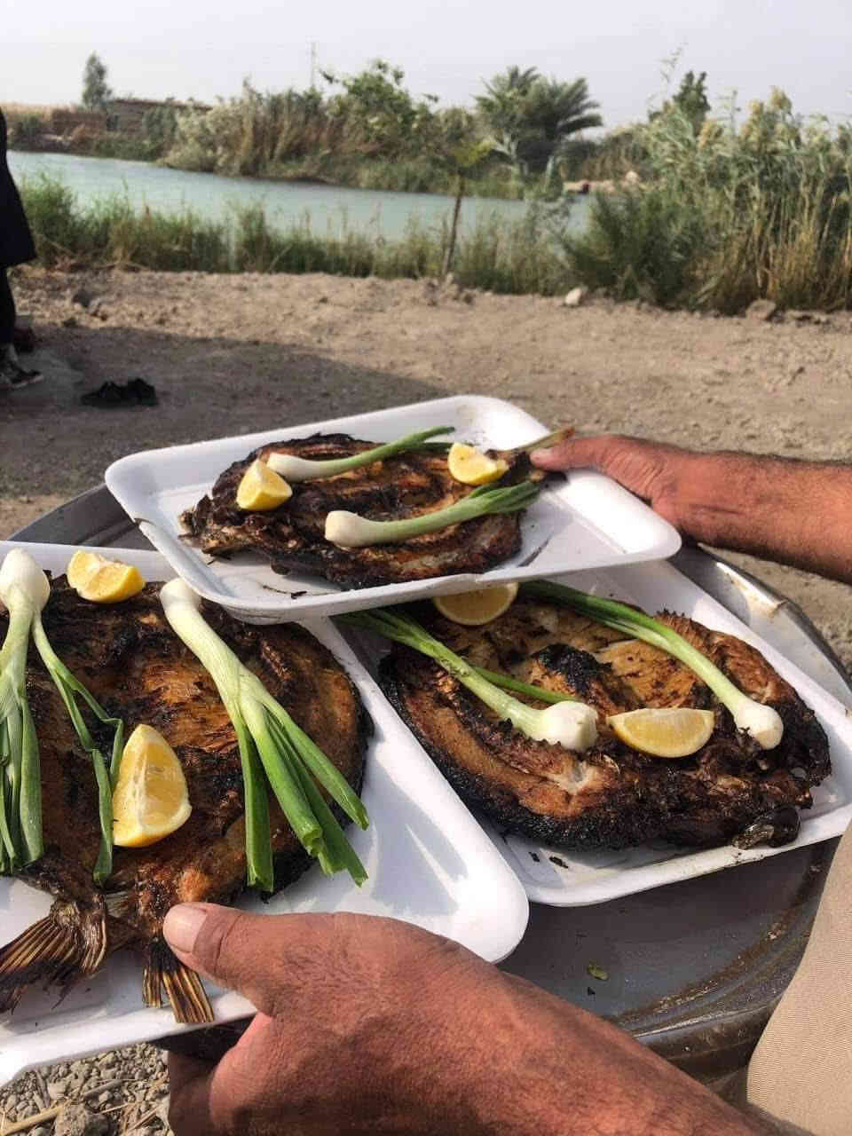 #رحلة_الأهوار_يوم_الجمعة   😍
الأنطلاق الجمعة 7 صباحاً 
جولات سياحية داخل الاهوار بالمشاحيف والزوارق 
سعر النفر )10) الف
🥰🥰🥰🥰🥰🥰🥰🥰🥰 
سارعو بلحجر قبل اكتمال لعدد 
***********
***********
كوت شارع النسيج الشارع الخدمي حي سلام
