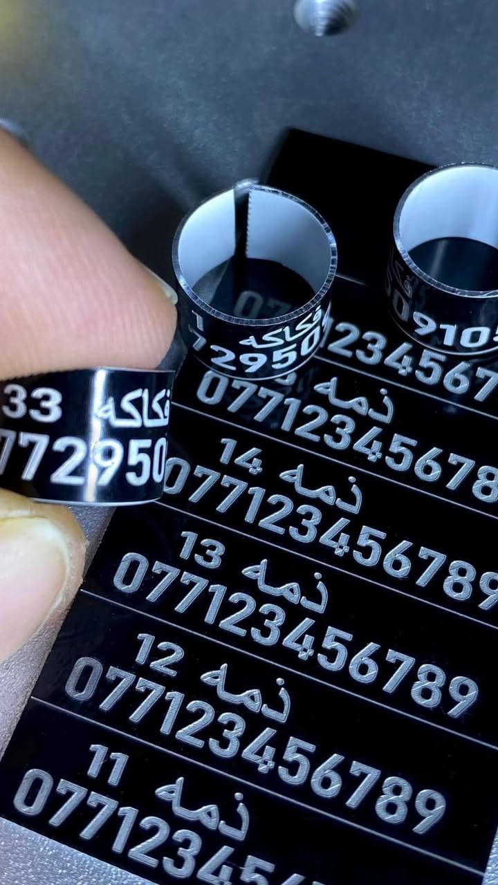حجول حمام للطيور  الكبار 
كل القياسات 
50  حجل 8 الف   
 100 حجل 13 الف  
((((( التوصيل مجاني )))))
للحجز خاص واتساب  ***********
