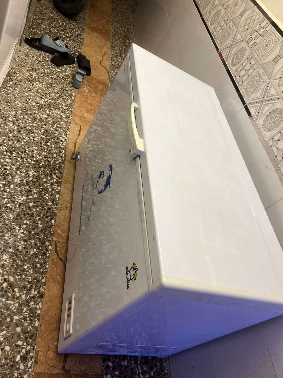 مجمده للبيع مكان غزاليه سعر 360 تجميد فول 
ما شاءلله


**إذا كنت صاحب هذا الإعلان وتريد حذفه لأي سبب، رجاءا أرسل رسالة إلى الدعم الفني**