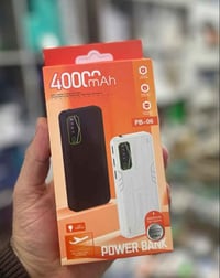 باور بنك • شاحن محمول • سنغافورة