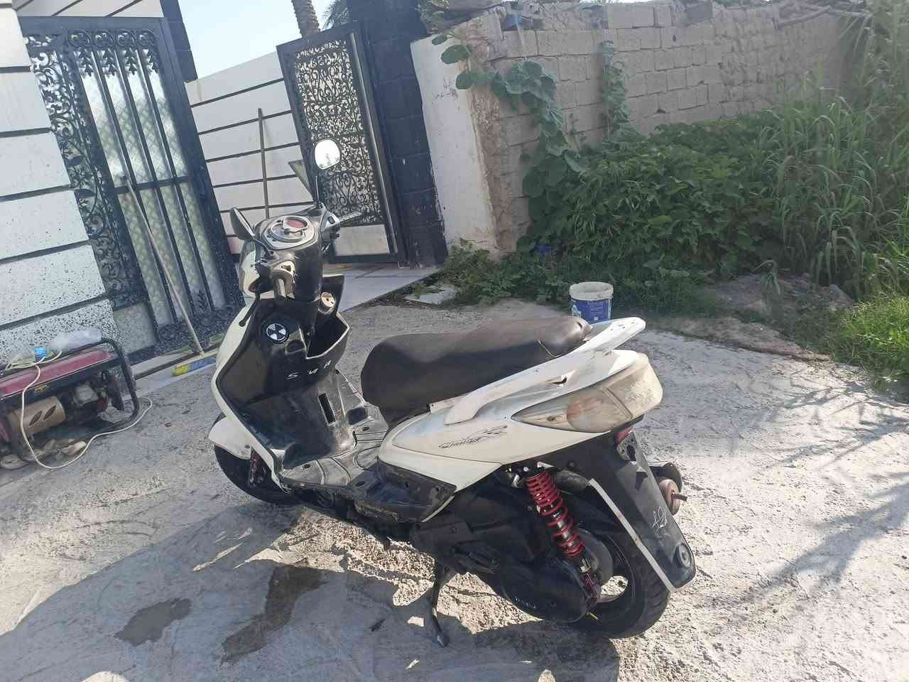 سكنس فحل كابريته سعر 450 العنوان برغه ***********
