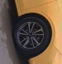 تخم حجم 16 بلادي فورتي سيراتو مكان بغداد السعر 300   07808484013