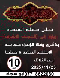 حملة السجاد • النجف الأشرف • ٢٥/١١/٢٠٢٥