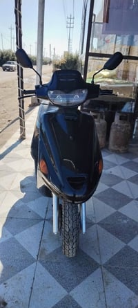 فراشة • فحل • جاهزه