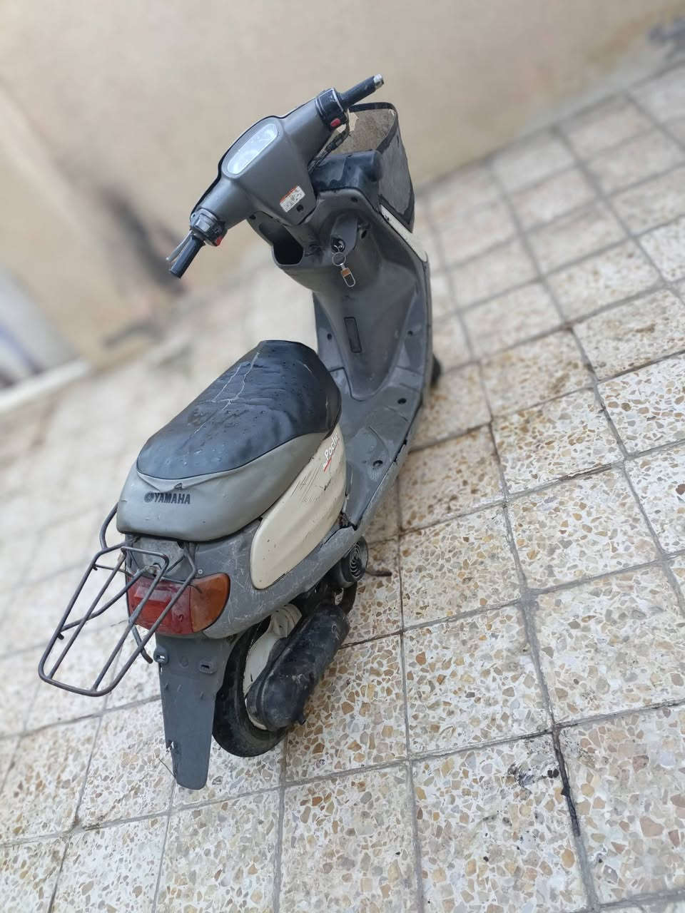 دراجه منغولي كلشي شغال بيها اشاير و هورن و لايت بس سلف ماتشتغل شاصي مكفول  بيع او مراوس بذبانه بطه  مكاني كربلاء حي العسكري
***********
