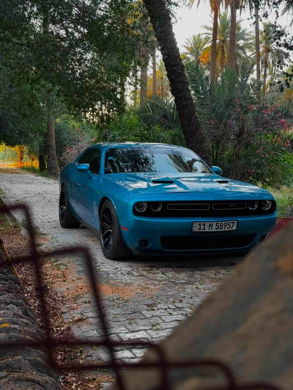 @السلام عليكم / للبيع فقط 
دوج جالنجر موديل 2015 /SXT PLUS 
فول مواصفات داخل جلد اسود 
فتحة سقف
لون مميز بحري 
تدفئة وتبريد مقاعد 
شاشة كبيرة 
تبريد ثلج 
رادرات جانبية وخلفية 
بصمة 
تشغيل عن بعد 
السيارة عليها ادامة جديدة وبوليش جديد 
السيارة بدون اي مصرف 
ماشية 103,000 كيلو 
صورة الحادث مرفقة ويا 
حادثها جامغ وباب الراكب وجاملغ السايق 
( ثلاث قطع ) 
للاستفسار اكثر الاتصال على هذا الرقم 
متواجد واتساب / ***********
وسعر فوال
