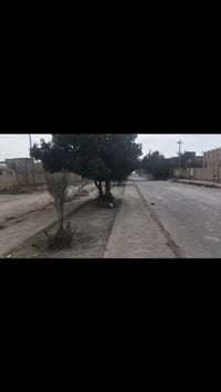 شارع السايدين • ٢٥٠م • كامل أو نص