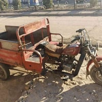 ستوته • بدون أوراق • مكفولة